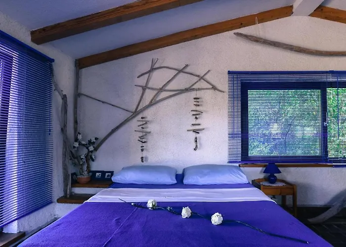 Ecoretreat 아파트 *