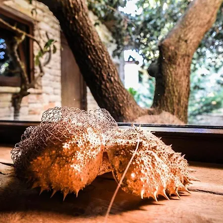 Appartement Ecoretreat *