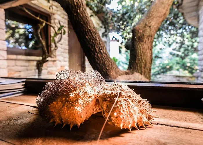 아파트 Ecoretreat *